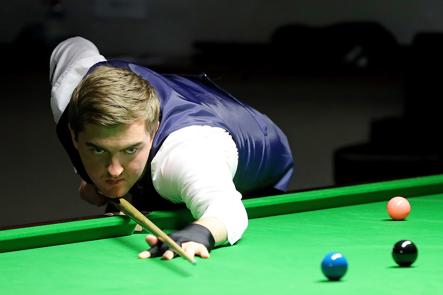 Magnificent Muir is European Champion - WSF